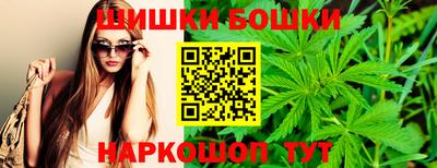 МДПВ Прокопьевск